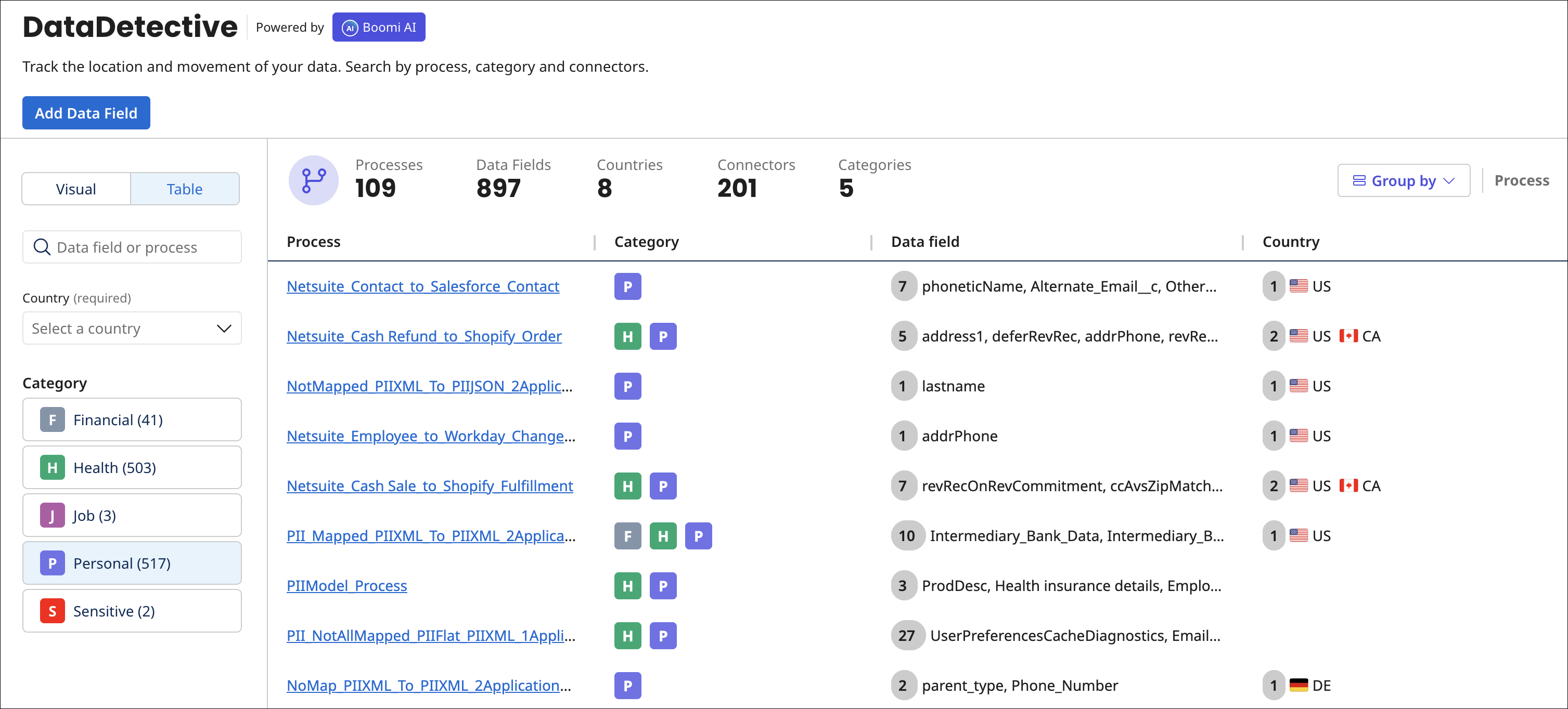 Boomi DataDetective table view with filters