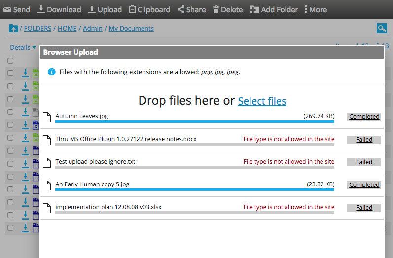 an example file upload that allows only files with png, jpg, and jpeg extensions