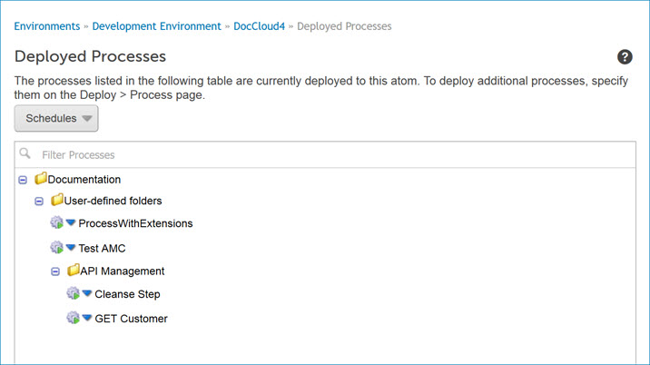 Deployed Processes panel